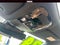 2023 Lexus RX RX 350 AWD
