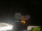 2023 Chevrolet TrailBlazer FWD 4dr RS